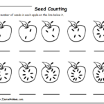 Counting Worksheets 1 10 With An Apple Theme Counting Seeds