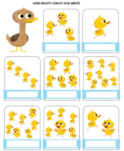 How Many Ducks Worksheet - Countingworksheets.com