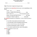 Quantifiers Of Mass And Count Nouns Worksheet