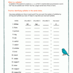 2nd Grade Syllables Worksheets With Answers Thekidsworksheet