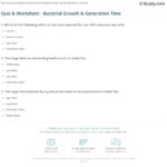 39 Bacteria Review Worksheet 1 Answers Worksheet Resource